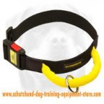 Nylon Dog Collar With Quick Release Buckle