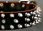 Protector Full Spiked Latigo Dog Collar for training dogs