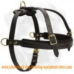 Schutzhund Tracking/Pulling Leather Dog Harness