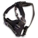 Order Now Leather Agitation Harness for Schutzhund training