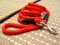 Decorated Nylon Dog Leash For Tracking