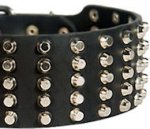 Studded Leather Dog Collar