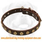 Gorgeous Leather Dog Collar With Dotted Circles