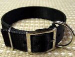 Durable Nylon Dog Collar