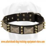 Gorgeous Spiked Leather Dog Collar