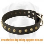 Gorgeous Wide Leather Dog Collar