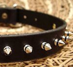 Small Spiked Dog Collar