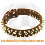 Leather Spiked Studded Dog Collar