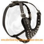 Schutzhund Studded Leather Dog Harness With Pyramids