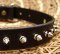 Small Spiked Dog Collar