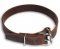 Leather Collar 1 inch wide for Schutzhund Training