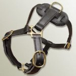Genuine Leather Dog Harness for schutzhund dogs