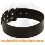 All Weather Collar for Working Dogs