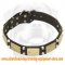 Gorgeous Leather Dog Collar