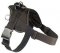 Looking for EzyDog Harness for schutzhund dogs