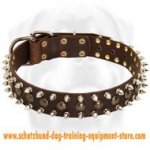 Leather Dog Collar Spiked And Studded 3 Rows