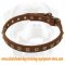Leather Dog Collar With 1 Row Brass Studs