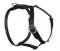 Similar to La Cinopelca Adjustable Leather Harness-all dogs