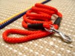 Decorated Nylon Dog Leash For Tracking