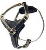 2-ply Latigo Leather Harness for training dogs