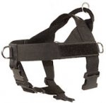 Nylon Companion Safety Harness for Schutzhund Dogs
