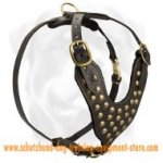 Handmade Studded Leather Walking Dog Harness