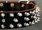 Protector Full Spiked Latigo Dog Collar for training dogs