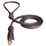 Rolled Leather Dog Lead 2 Foot Long Round Leash training dogs