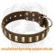 Gorgeous Wide Leather Dog Collar With Plates for All Breeds