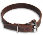 Leather Buckle Dog Collar