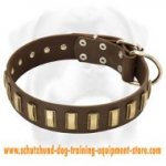 Gorgeous Wide Leather Dog Collar With Plates for All Breeds