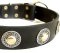 Deluxe Leather Dog Collar with jewelry for schutzhund dogs