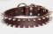 Spiked Leather Dog Collar- 2 Rows of spikes collar for all dogs