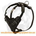 Padded Dog Harness For Working Dogs