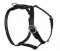 SENSATION Dog Harness for walking