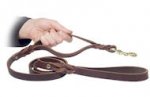 Double Handle Leash
