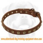 Leather Dog Collar With 1 Row Brass Studs