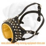 Amazing Leather Dog Muzzle