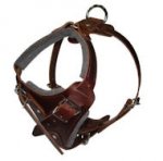 Hands Free Control Dog Harness