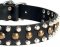 Leather Dog Collars with Studs