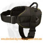 Easy Walking Nylon Dog Harness