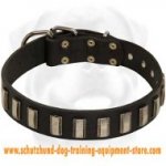 Ornament Leather Dog Collar