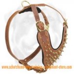 Leather Spiked Dog Harness