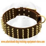 Leather Dog Collar With Cool Decoration