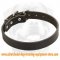 Good Leather Dog Collar
