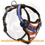 Schutzhund Leather Dog Harness