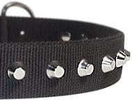 1 Row Studs Dog Collar-1 1/4" for training dogs