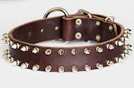 Spiked Leather Dog Collar- 2 Rows of spikes collar for all dogs