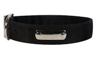 2 Ply Nylon Dog Collar w/h Name Tag/Metal Buckle