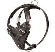 Black Leather Dog Harness for police dogs